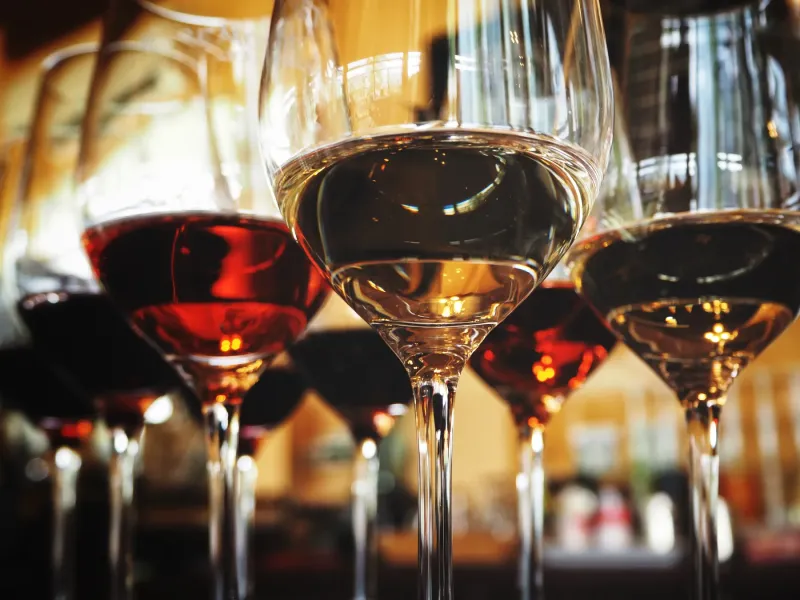 Our wines & more