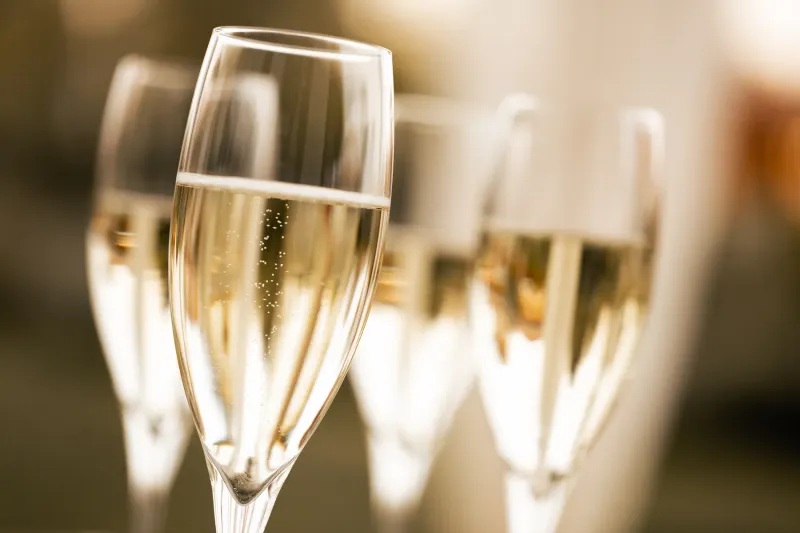 Our wines & more
